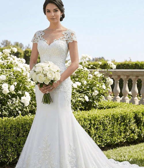 2026 Lace Collection Wedding Dress